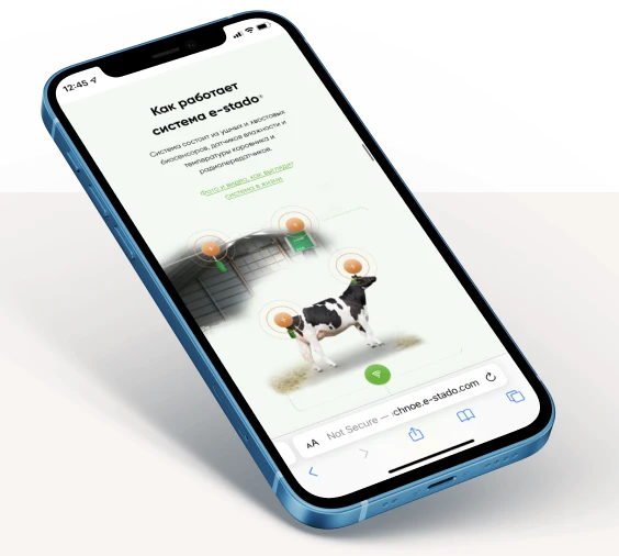 work example